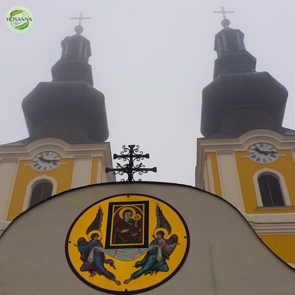 IMG_20231215_232736_729